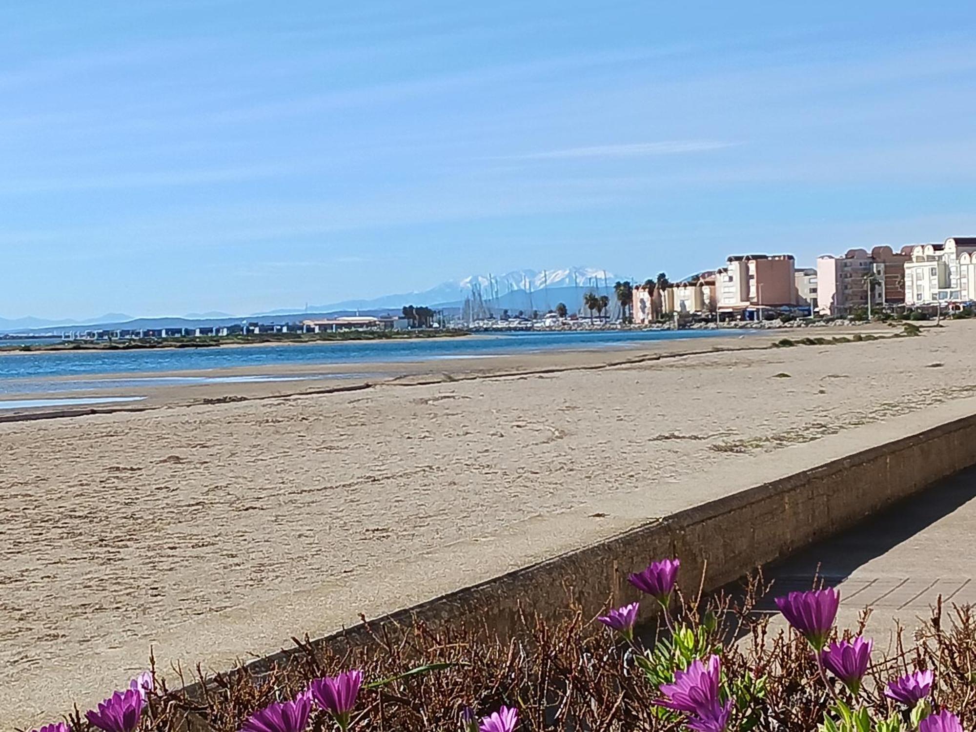 Appartement Avec Magnifique Vue Sur Mer Gruissan Bagian luar foto